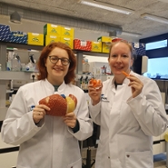 Milena Schönke and Emilia Hannula